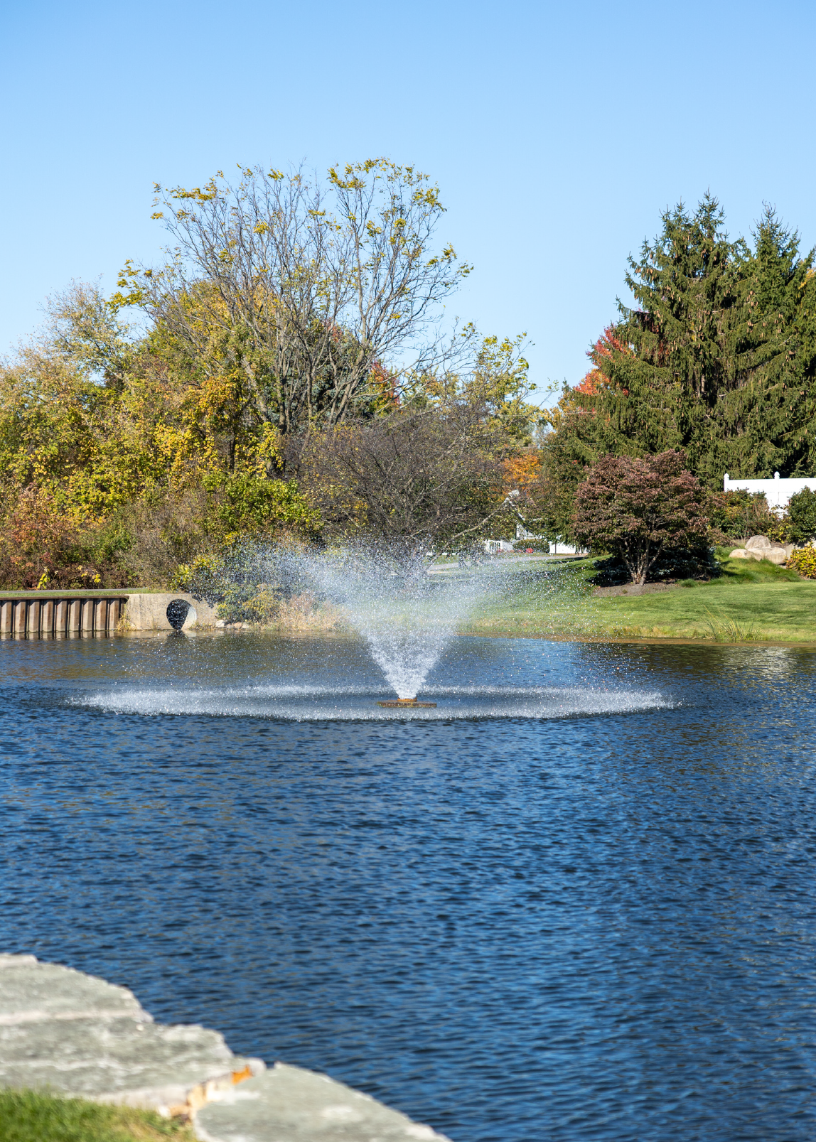 Water fountain spraying in the center of a pond surrounded by trees and grass under a clear blue sky.