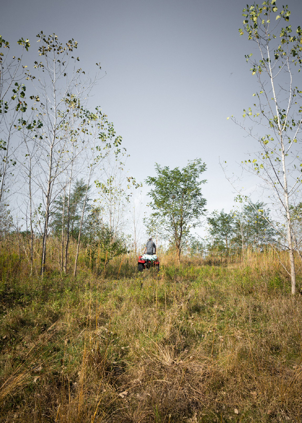 Person riding a red ATV through a field with tall dry grass and sparse trees under a clear sky.