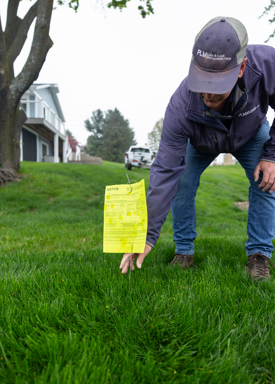 Man in a PLM jacket and cap placing a yellow notice sign into green grass near a residential area with a pickup truck in the background.