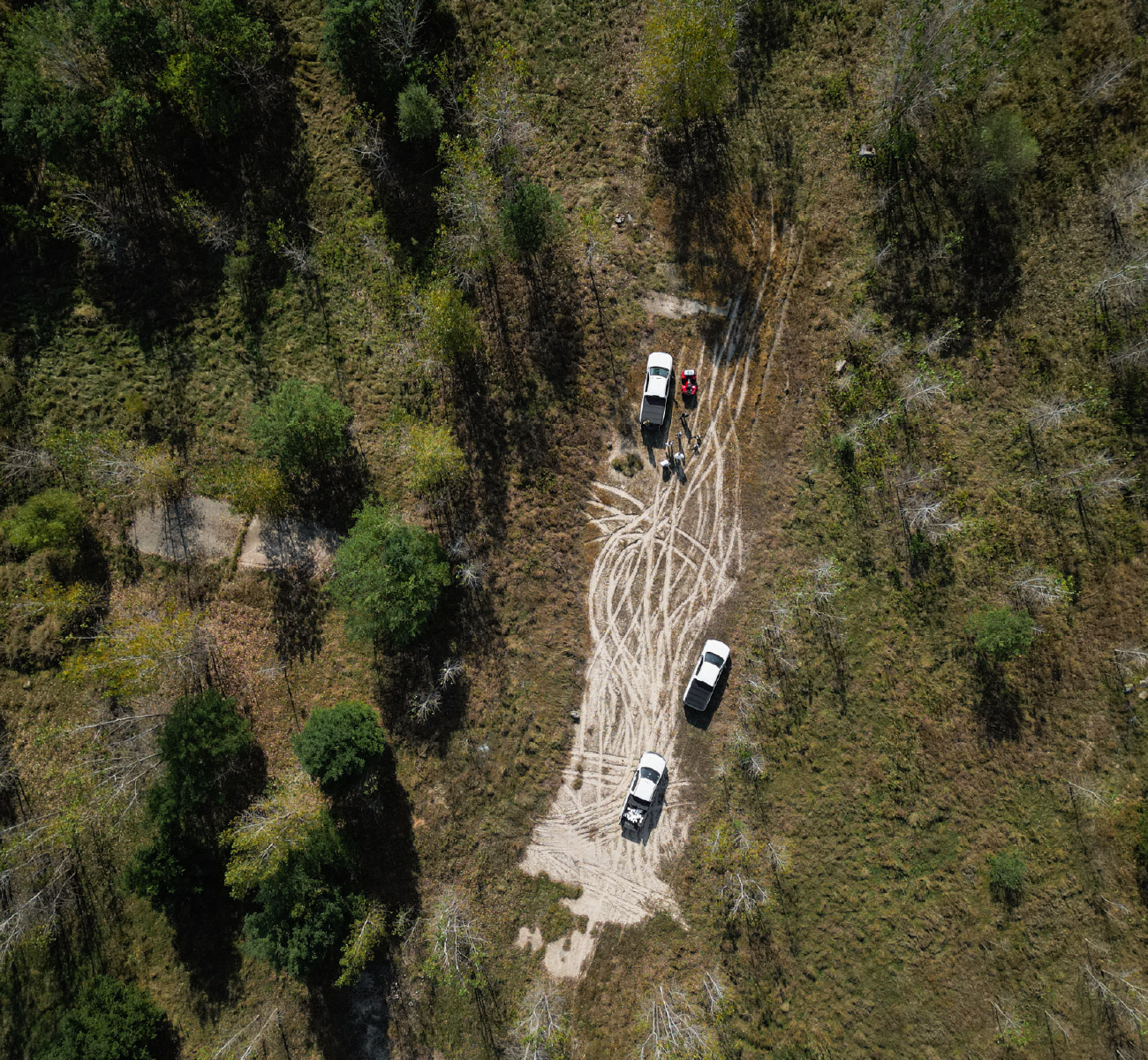 Aerial view of three white pickup trucks parked on a dirt trail with tire tracks in a forested area with scattered trees.