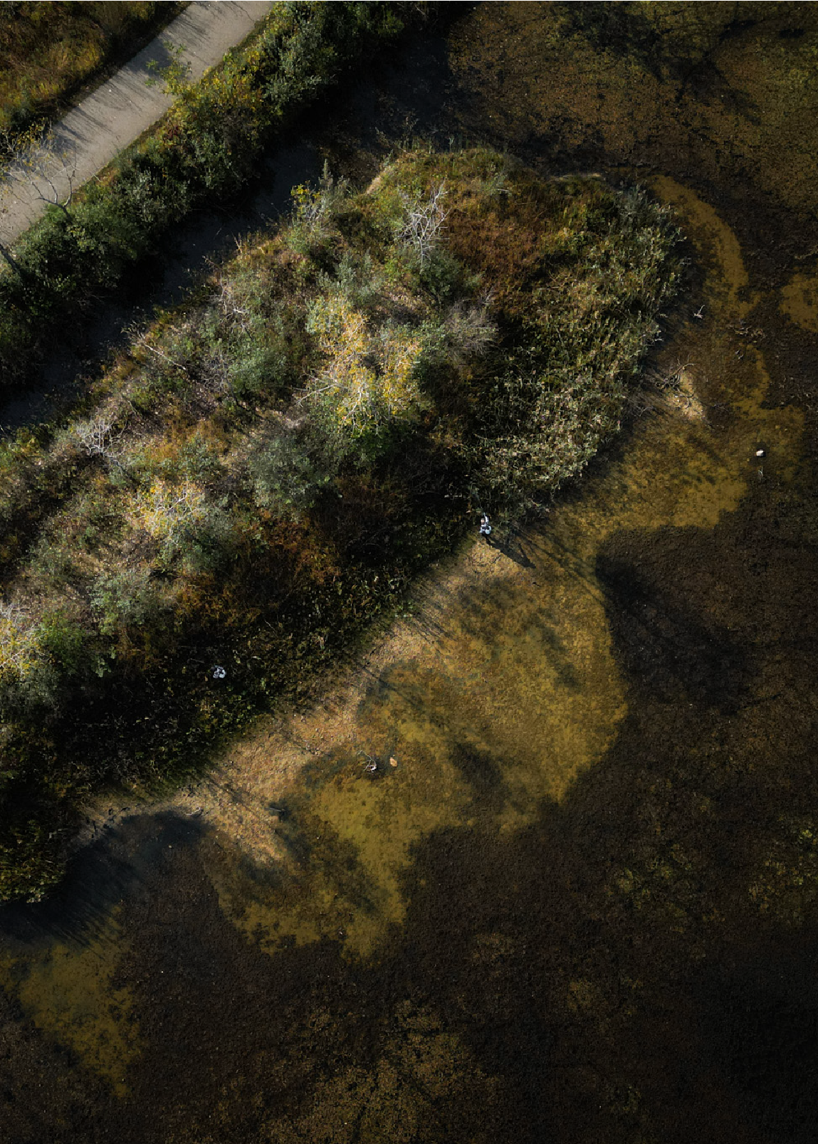 Aerial view of a small island with trees and bushes surrounded by shallow water and a pathway on the upper left side.