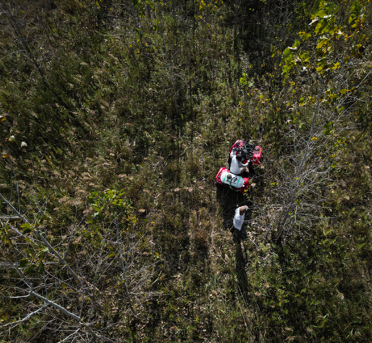 Two people in a grassy wooded area, one sitting on a red ATV and the other standing nearby.