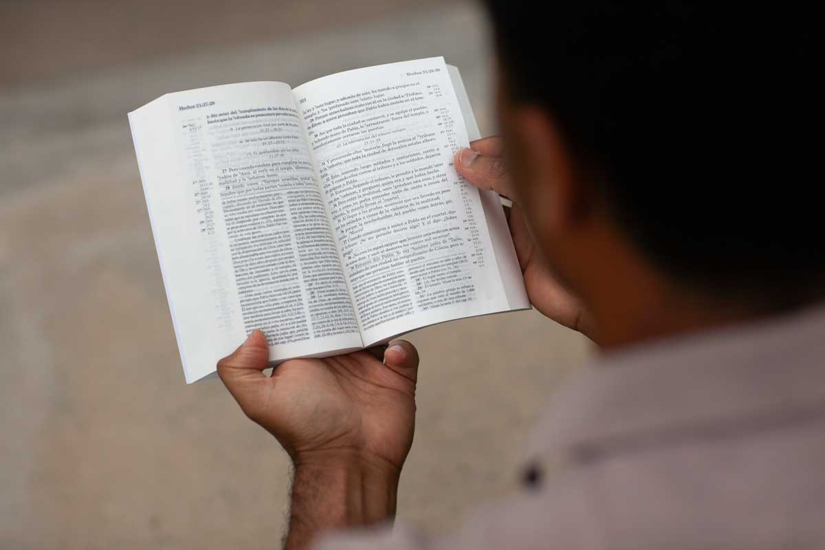 Person reading New Testament Recovery version