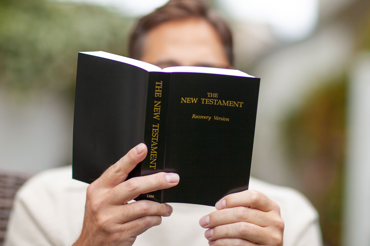Person reading New Testament Recovery version