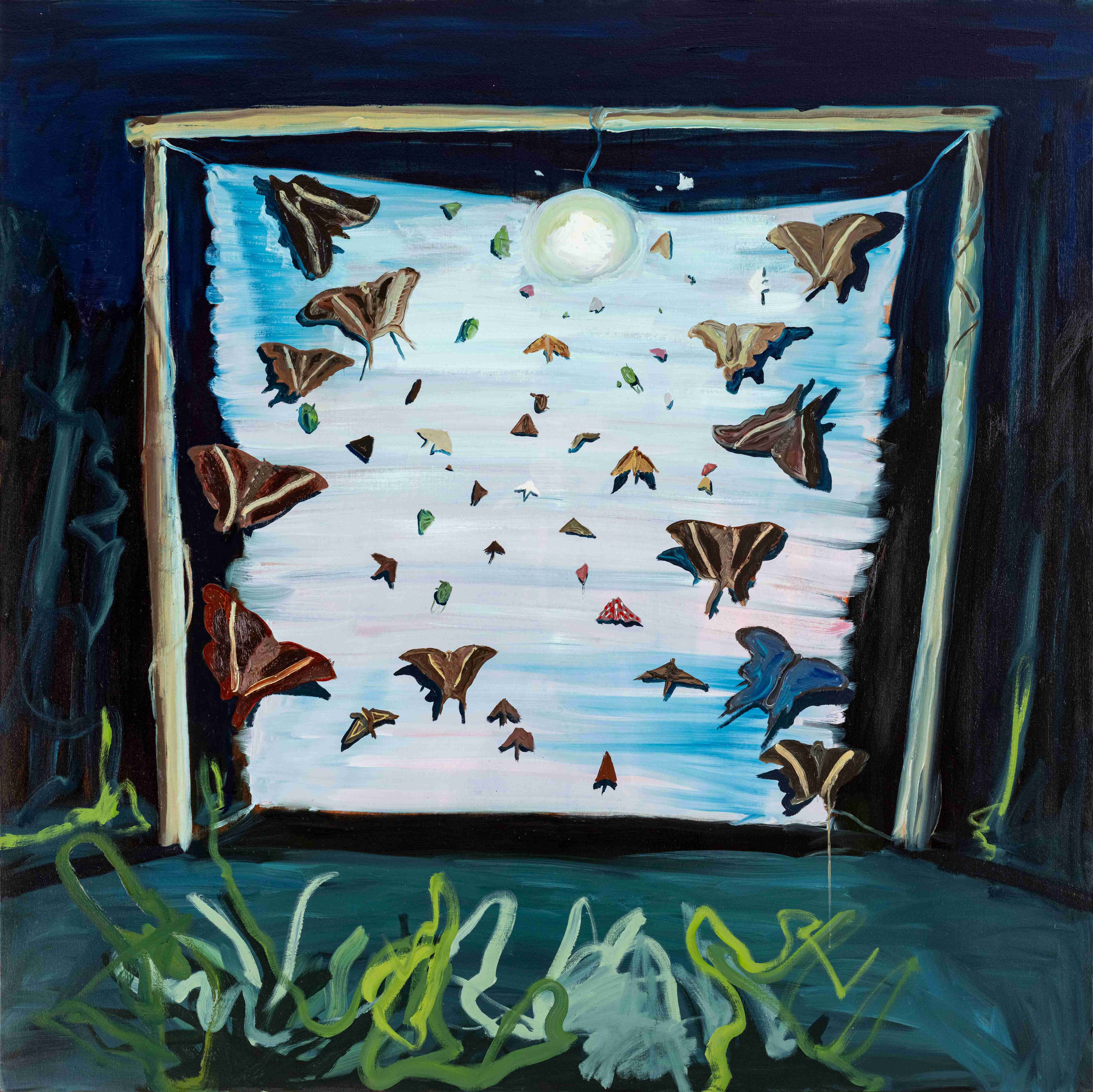 ATTRACTED TO THE LIGHT