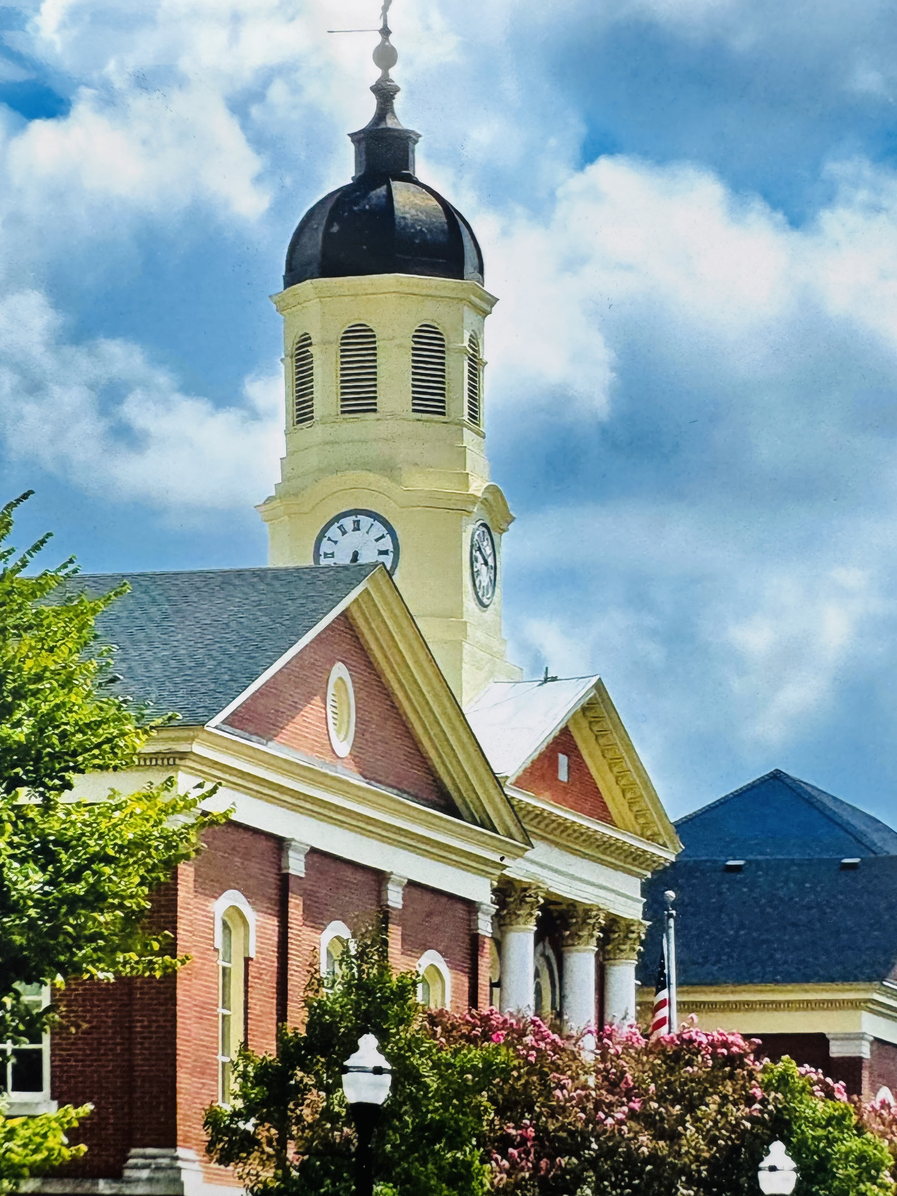 customized plan option scene 2