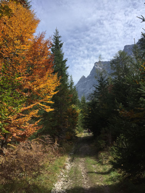 badersee blog gamsalm 17