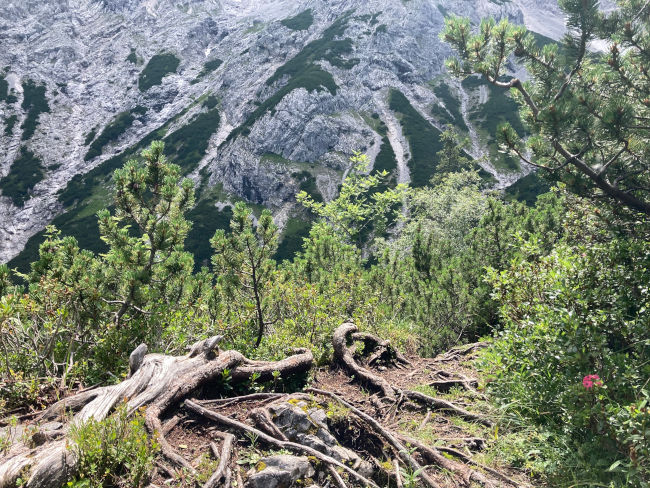 badersee blog alpspitze mattheisenkar