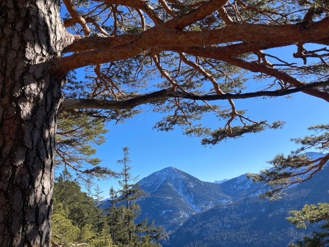 badersee blog osterfeuerkopf 11
