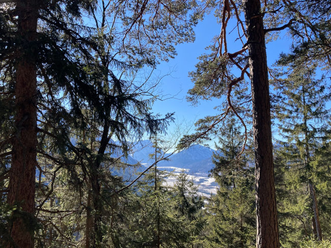 badersee blog osterfeuerkopf 05