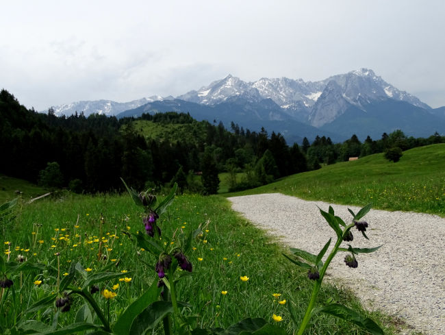 badersee blog panoramawege 81 philosophenweg