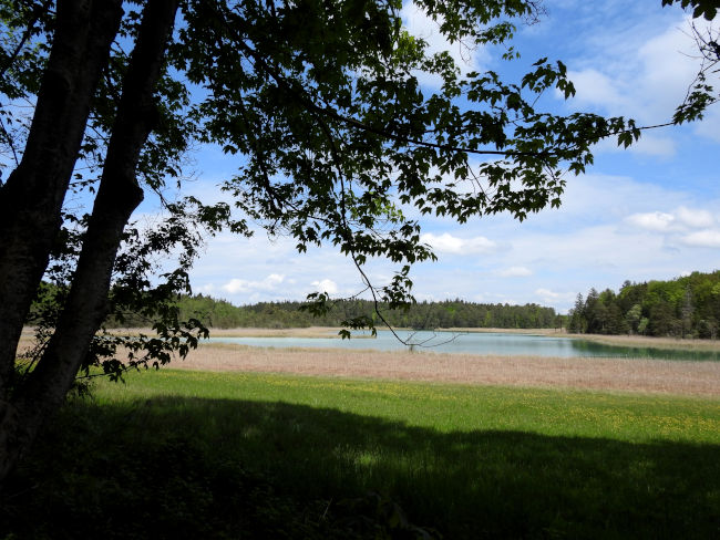 badersee blog ausflugstipp osterseen 38