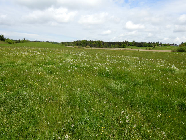 badersee blog ausflugstipp osterseen 01