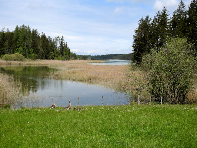 badersee blog ausflugstipp osterseen 19
