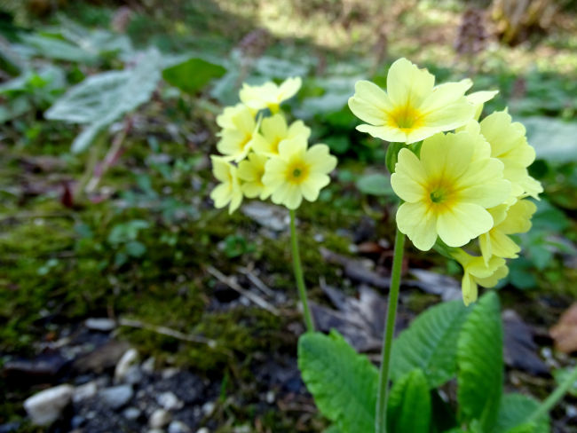 badersee blog wamberg 02