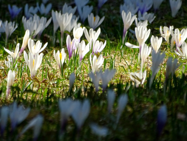 badersee blog wamberg 13