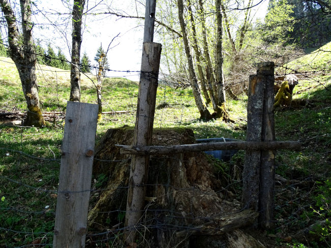 badersee blog wamberg 09