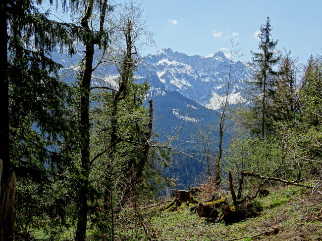 badersee blog wamberg 21