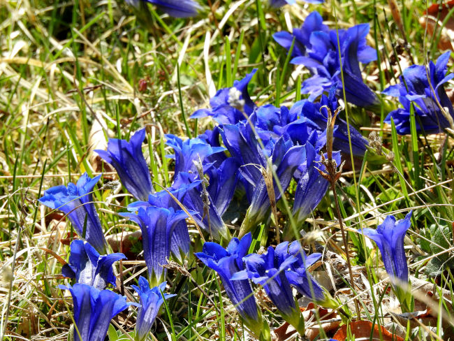 badersee blog wanderung lautersee ferchensee 31