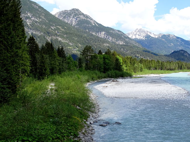Hotel am Badersee Ausflug Orchideen 28