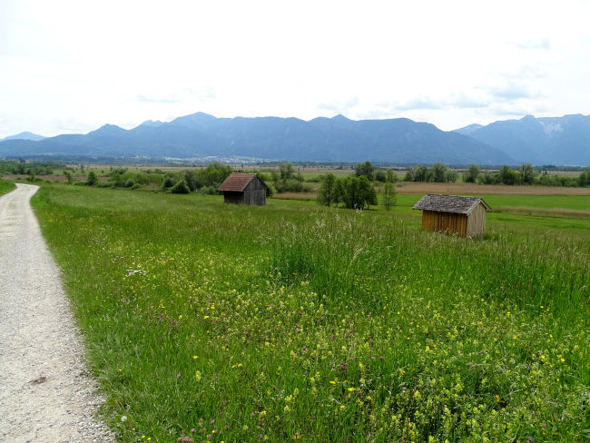 badersee blog murnauer moos 030