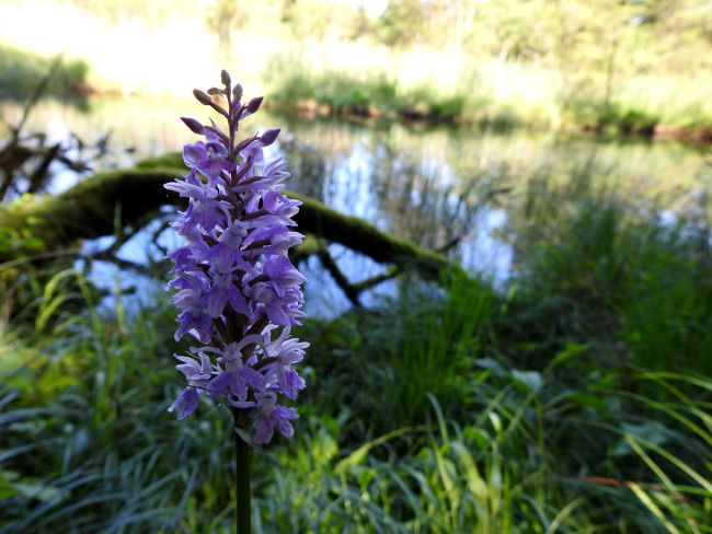 badersee blog spitzenwanderweg etappe2 28
