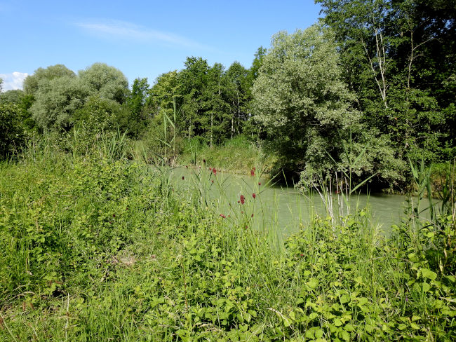 badersee blog spitzenwanderweg etappe1 054
