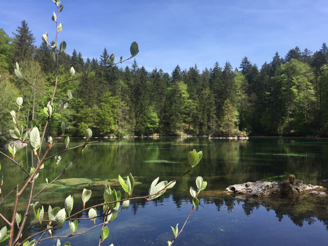 Badersee Rundgang 05