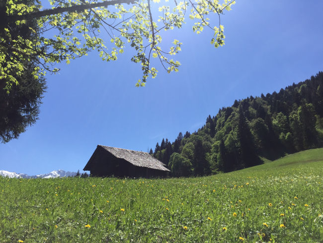 badersee blog kochelbergalm partnachalm