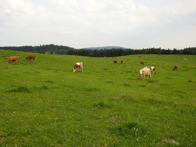 badersee blog spitzenwanderweg etappe07 024