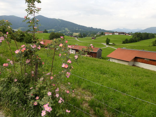 badersee blog spitzenwanderweg etappe07 013