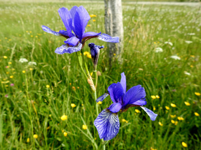 badersee blog spitzenwanderweg etappe07 034
