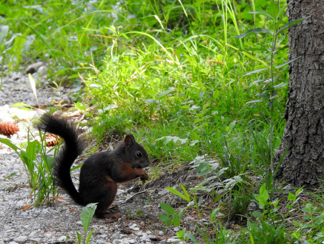 badersee blog spitzenwanderweg etappe07 041