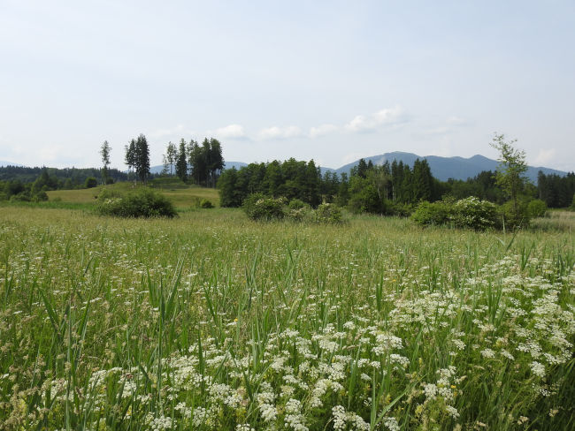 badersee blog spitzenwanderweg etappe07 039