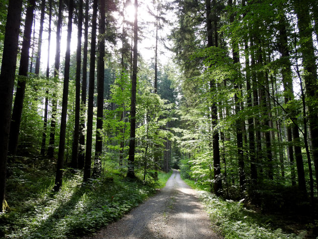 badersee blog spitzenwanderweg etappe07 026