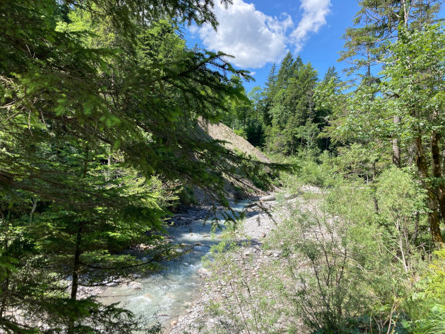 badersee blog radausflug plansee 06