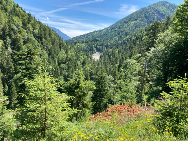 badersee blog radausflug plansee 07