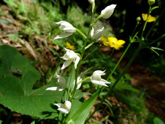 HotelamBadersee Wanderung Schafkopf24