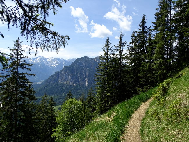 HotelamBadersee Wanderung Schafkopf13