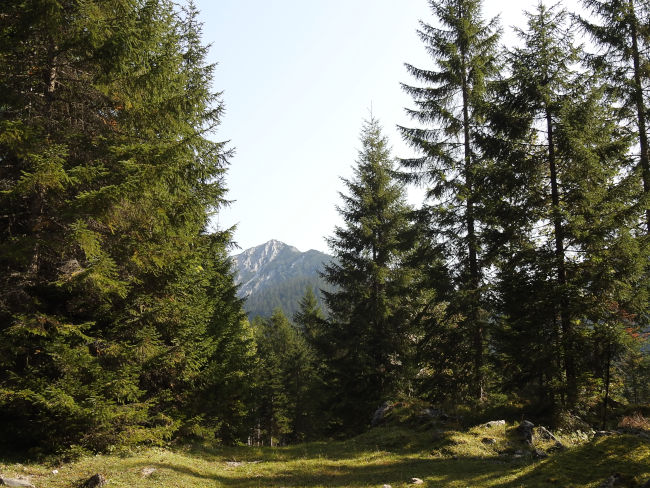 badersee blog spitzenwanderweg etappe07 026
