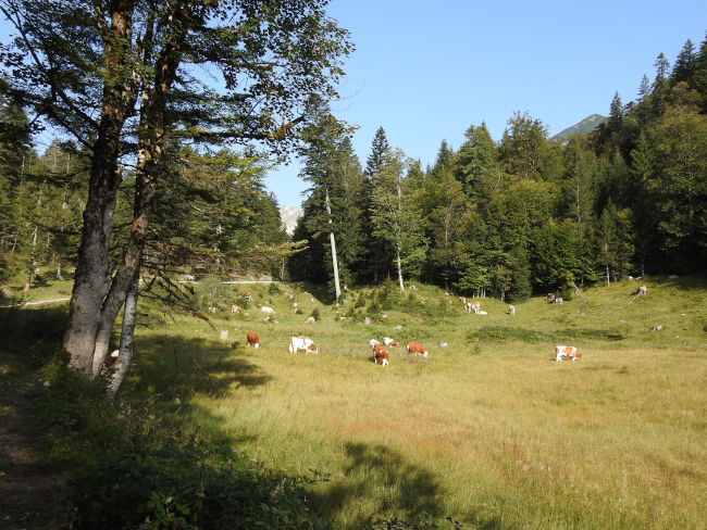 badersee blog spitzenwanderweg etappe07 024