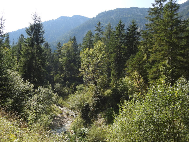 badersee blog spitzenwanderweg etappe07 039