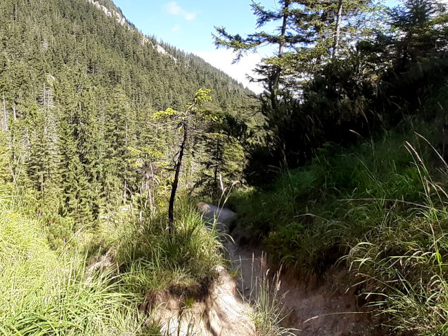 badersee blog spitzenwanderweg etappe07 082