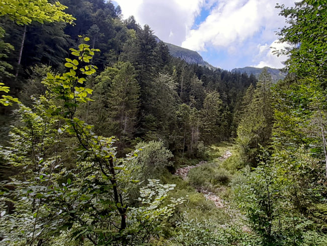 badersee blog spitzenwanderweg etappe07 068