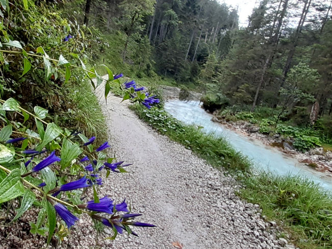 badersee blog spitzenwanderweg etappe07 047