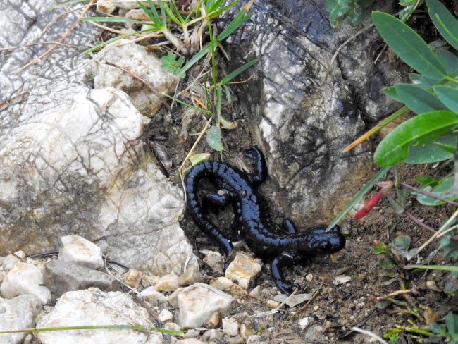 badersee blog spitzenwanderweg etappe06 81
