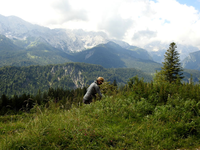 badersee blog spitzenwanderweg etappe03 46