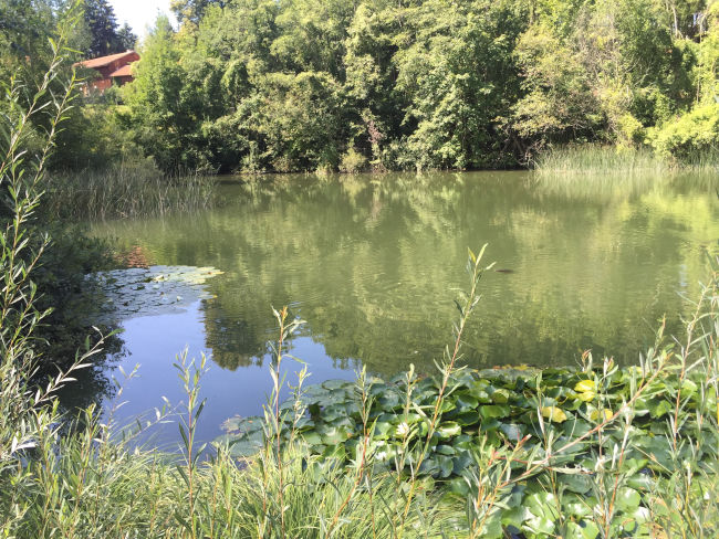 badersee blog ausflugstipp freilichtmuseum glentleiten 02