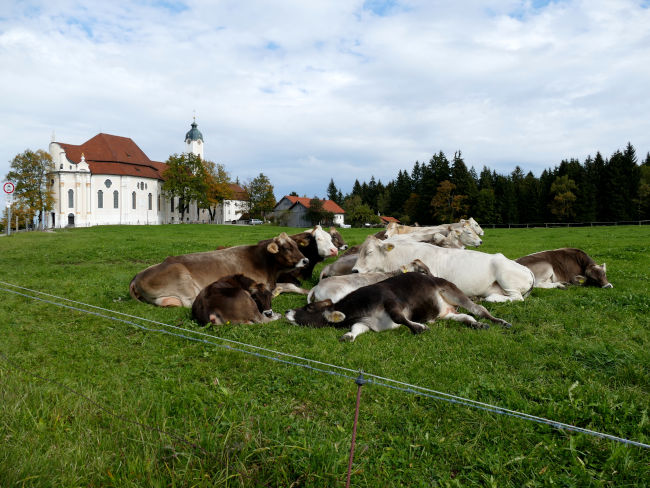 badersee blog ausflugstipp wieskirche 24