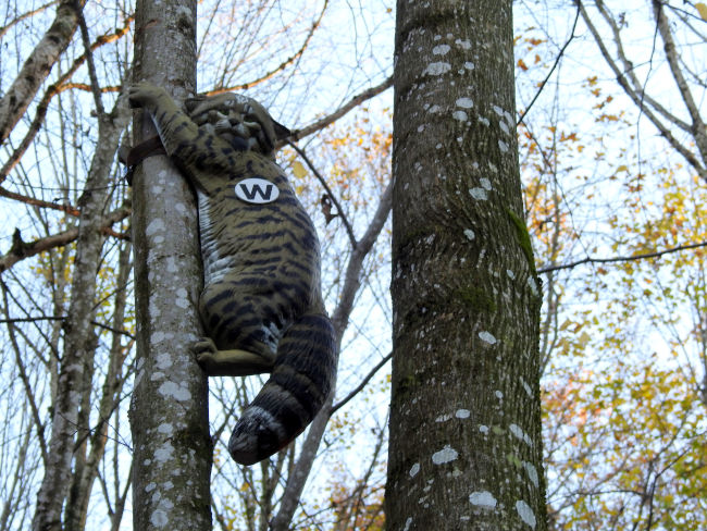 badersee blog spitzenwanderweg etappe10 87